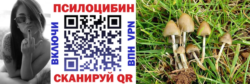 Галлюциногенные грибы мицелий  blacksprut ссылка  Новокузнецк 