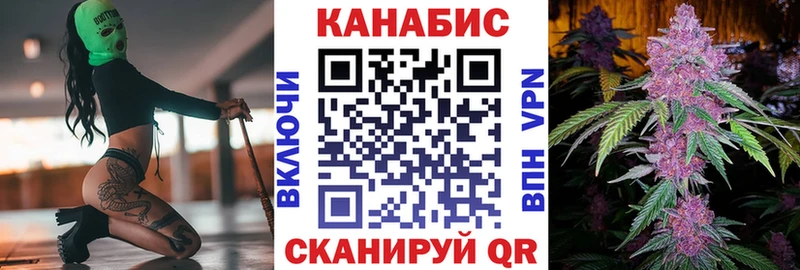 Бошки марихуана Amnesia  мега ССЫЛКА  Новокузнецк  где найти  